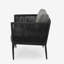 Accessoires de salon élégants, fauteuils exquis