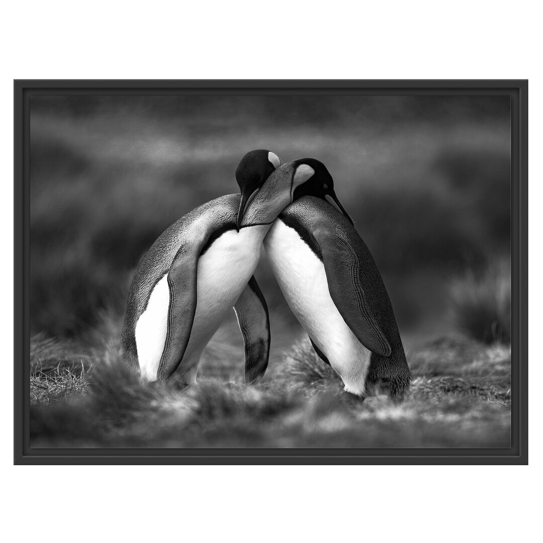 Gerahmtes Wandbild Pinguine in der Antarktis