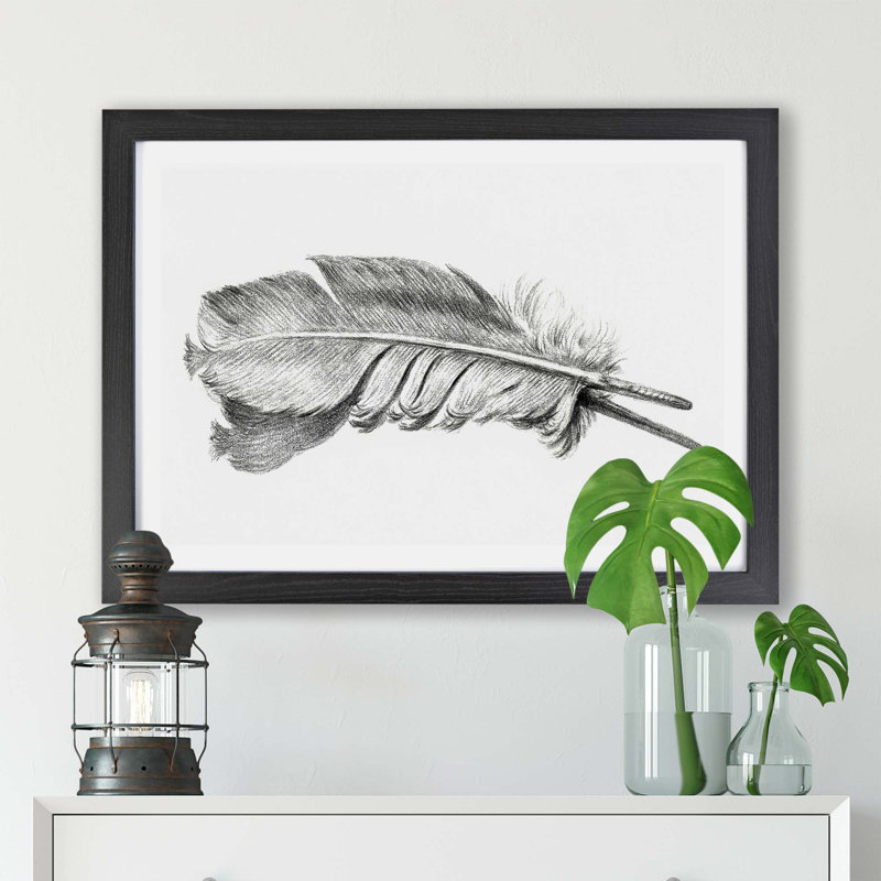 Feather' by Jean Bernard - Picture Frame Drawing Print on Paper, 33cm H x 45cm W x 2cm D, Black