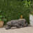 LEOPARD LIGHTWEIGHT CONCRETE BENCH