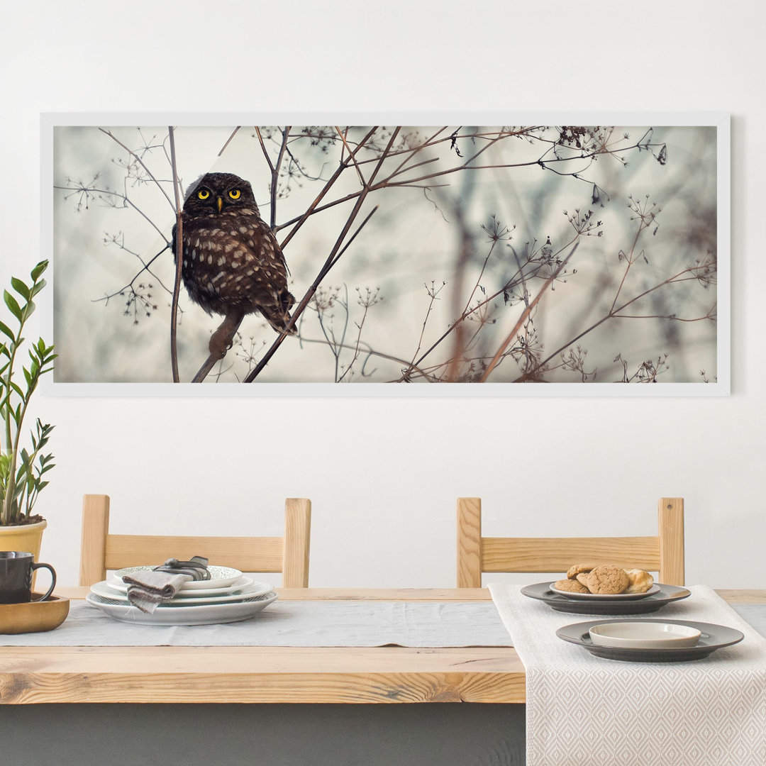 Gerahmtes Poster Owl in Winter