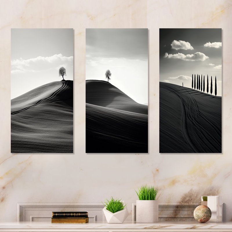 Paysage de désert noir et blanc, H 28 po x l 36 po, Toile tendue