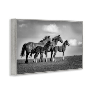 «Babies On Board Horse Family», estampe numérique, design par Wendy Caro