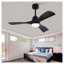 Ventilateur de plafond noir moderne de 42 pouces avec lumière et télécommande