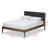 Chasitie Upholstered Platform Bed-189882686-212178041