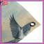 Tapisserie murale oiseaux bleus en vol - Décoration murale oiseaux-1413841042
