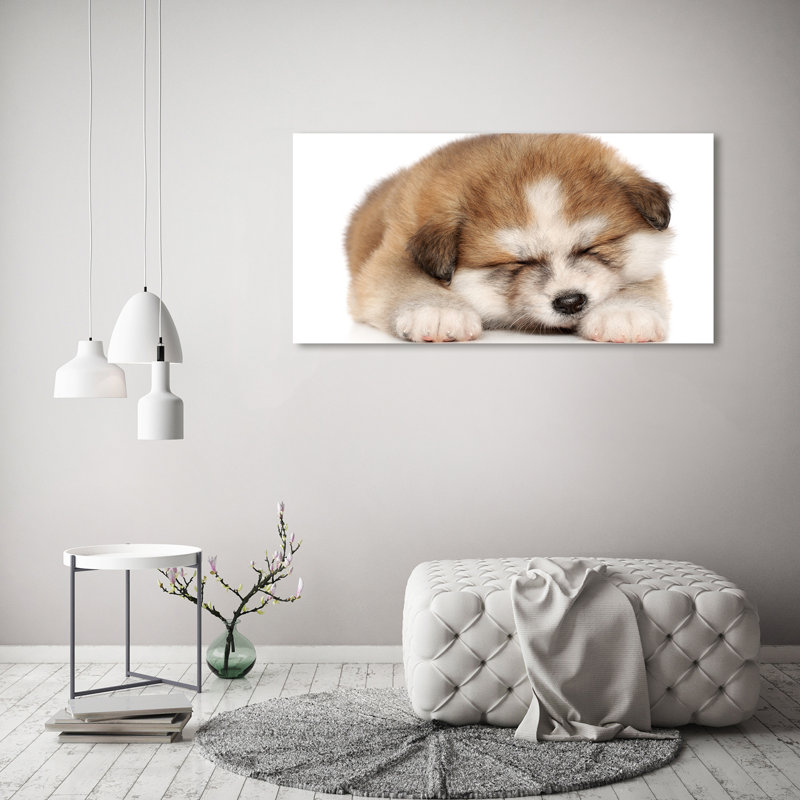 Akita Puppy - Wrapped Canvas Print