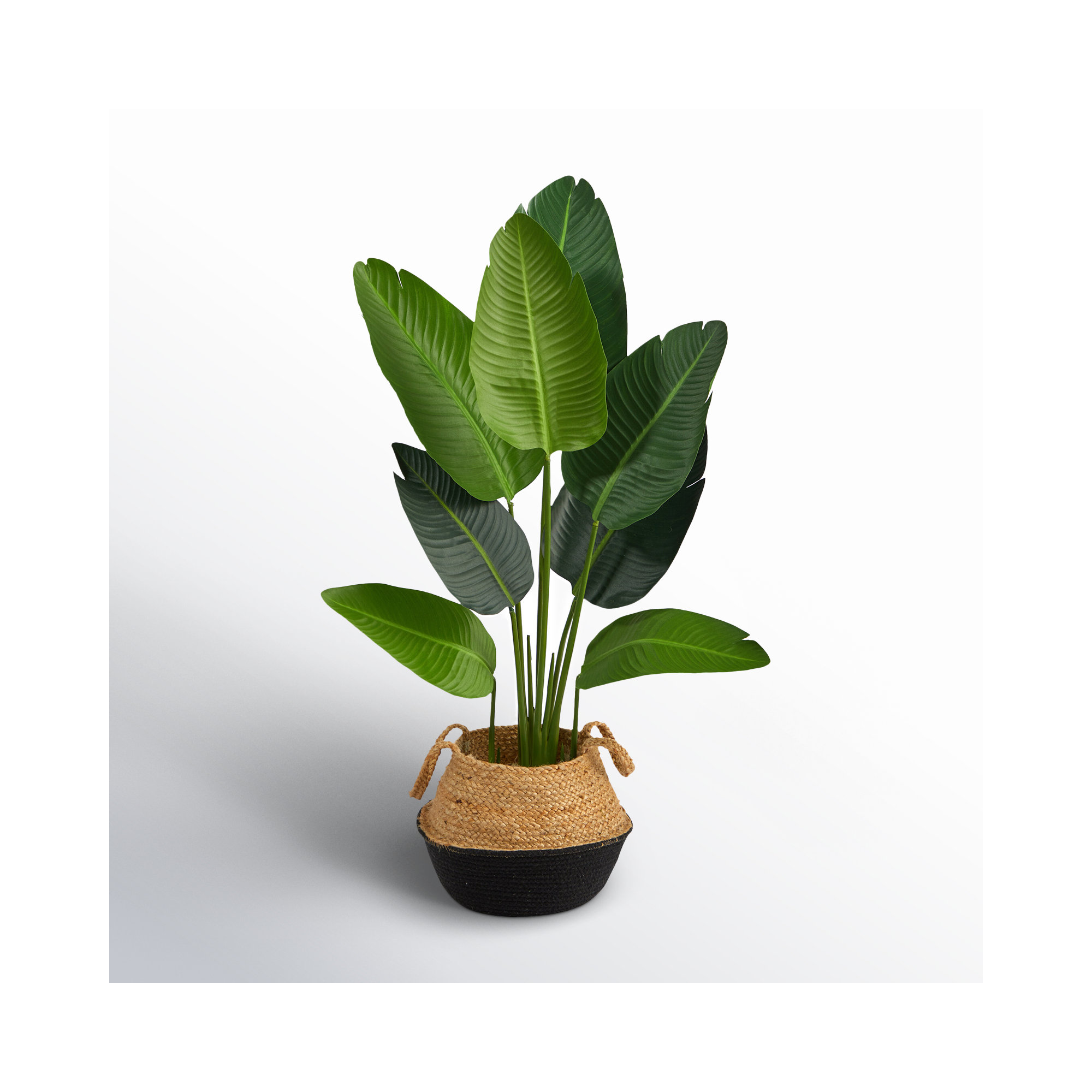 48'' Faux Palm Tree in Planter, Tan/Black