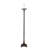 63" High Posy Floor Lamp