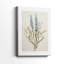 Honeybloom Botanical II - Cavas enveloppés de galerie-108843515
