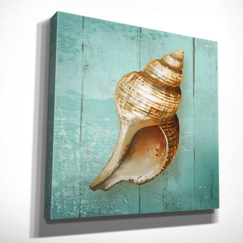 « conch », reproduction d’art sur toile tendue premium "" par conrad knutsen, H 24 po x l 24 po x P 1,5 po