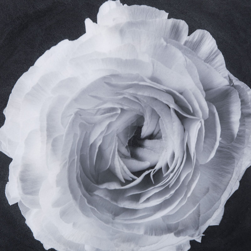 Black And White Flower Epoxy B Print