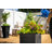 Mayne Fairfield 24x24 Square Indoor And Outdoor Planter – Large Modern Planter Box For Patio, Garden, Or Home Décor – Durable Weather-resistant Design For Flowers And Plants-16442546