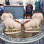 Petite figurine de lapin Staffordshire-131545753-131545754
