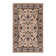 Oriental Indoor Rug
