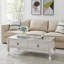 Monique Solid Coffee Table with Storage