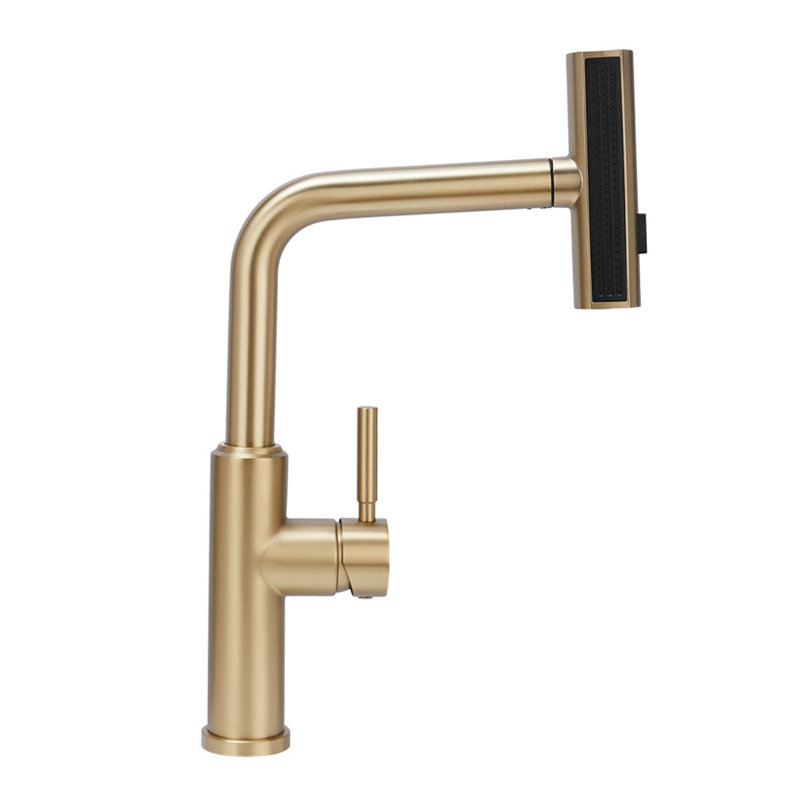 Belfry Kitchen Mallouk Pull Out Kitchen Faucet, Gold