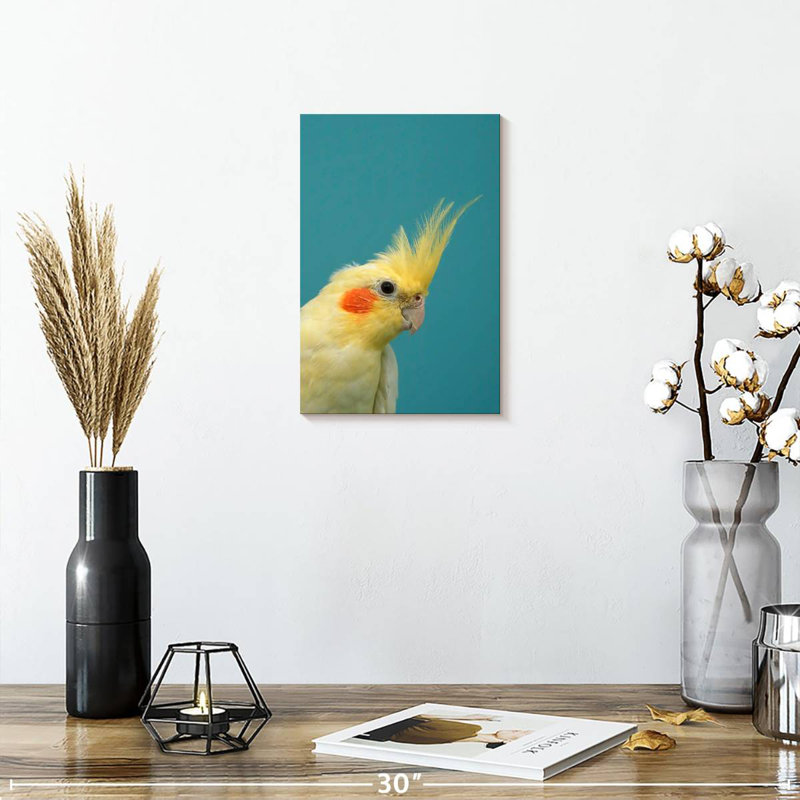 Cockatiel à joues orange