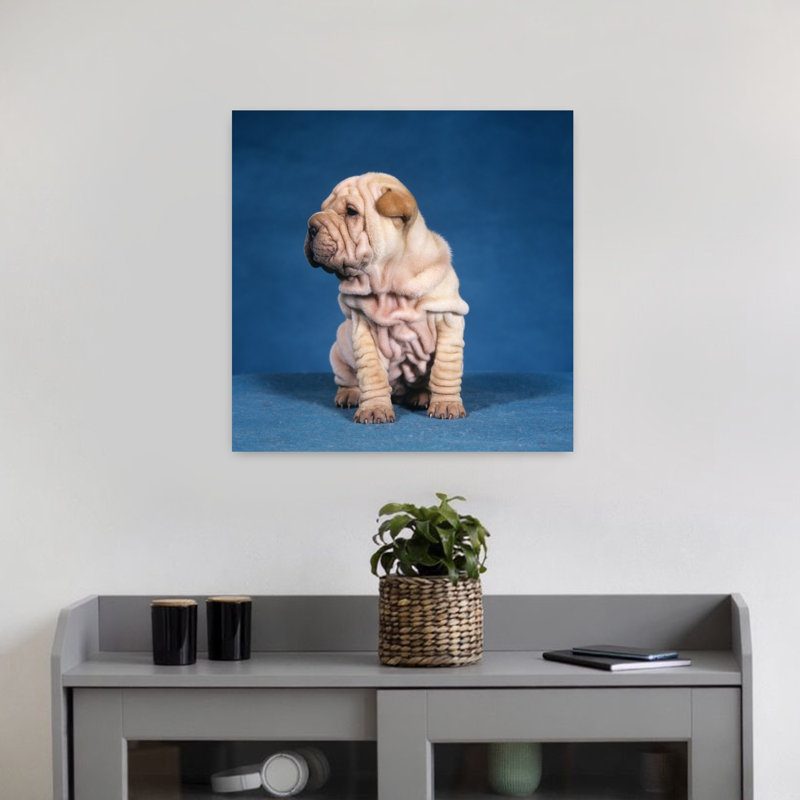 1990S Chinese Shar Pei Puppy Dog Sitting Classic Retro Vintage Dog Wall Art, H 18 po x l 18 po