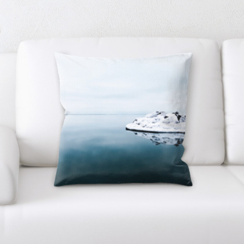 Coussin décoratif