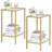 Clorinda Glass Top End Table-1196317876