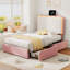 Metal Storage Bed