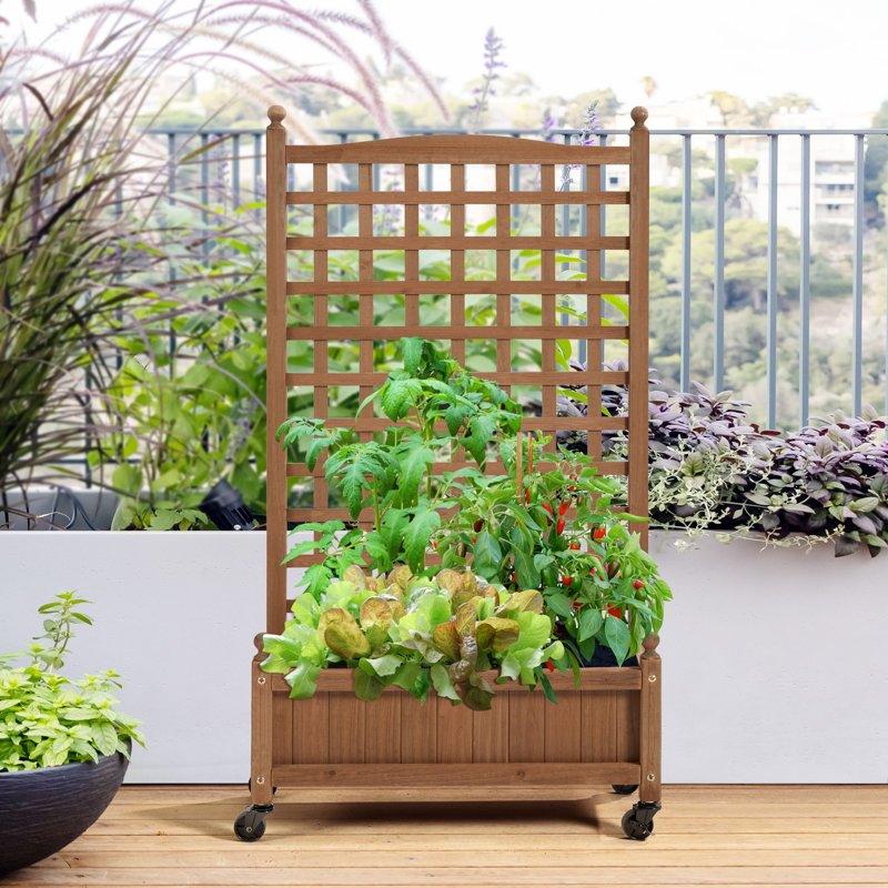 Allistir 50" H Wood Planter Box with Trellis and Wheels