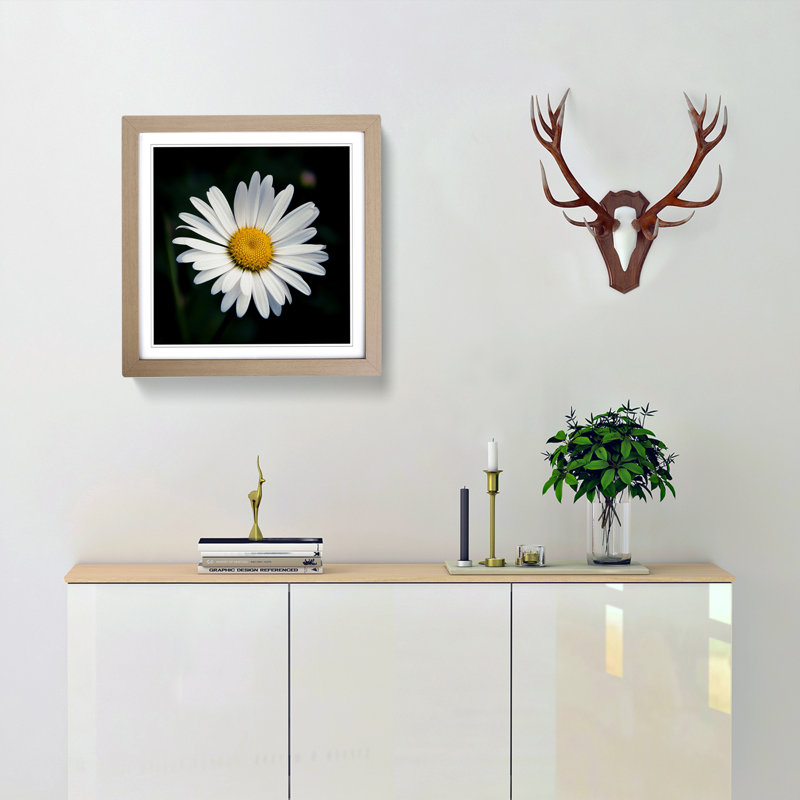 Daisy Photograph - Single Picture Frame Print on Wood, Oak