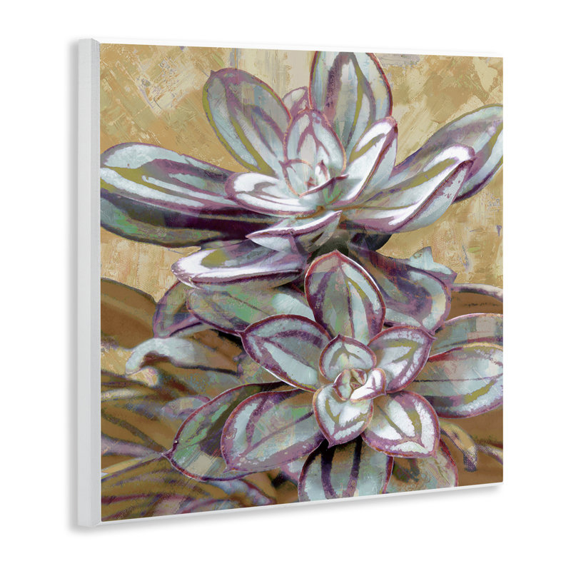 "Rustic Desert Succulents", art mural par Lindsay Benson