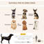 Collapsible Pet Carrier with 3 Doors-74777164