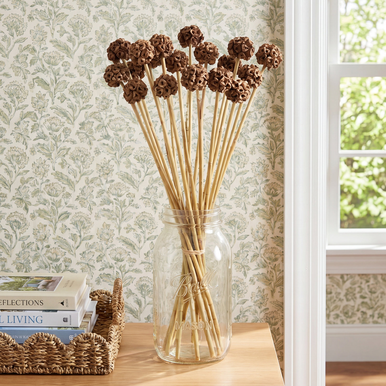 Dried Spider Knob Stems