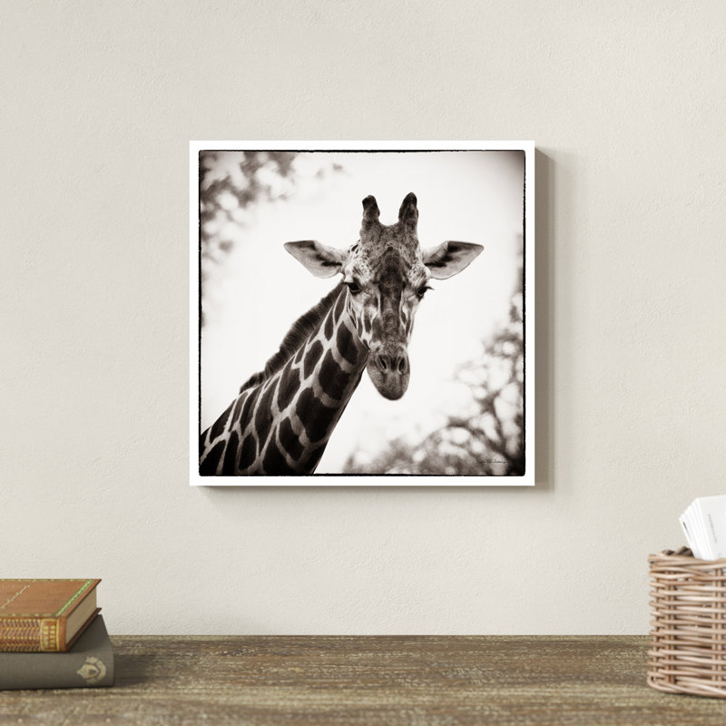 Girafe I, H 12 po x l 12 po