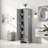 Freestanding Bathroom Storage Cabinet With 2 Doors And Adjustable Shelf-252600926