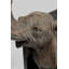 Bookend Elephants (2/Set)-63580139