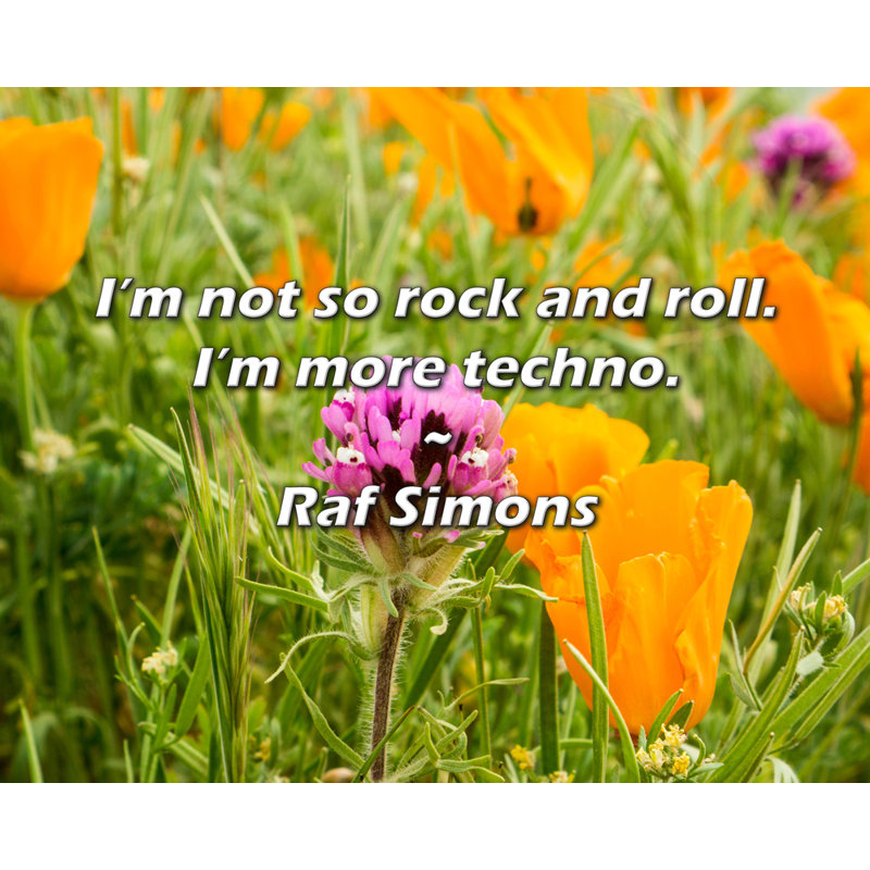 Citation de Raf Simons: «I'm not rock and Roll so. Je suis plus techno., H 26 po x l 32 po