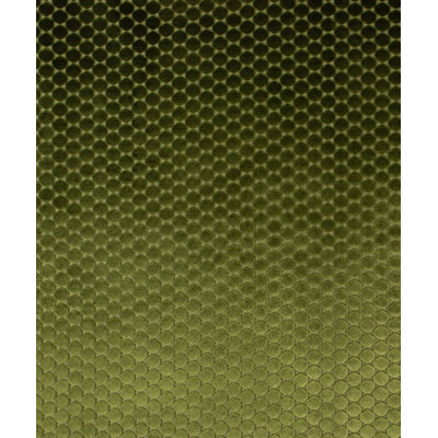 Ditty Fabric