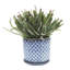 Modern Textured Ceramic Planter with Saucer-1936006852-1936006854