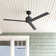56"  3 - Blade Outdoor Ceiling Fan with Wall Control