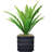 Bragdon Artificial Succulent Plant in Planter