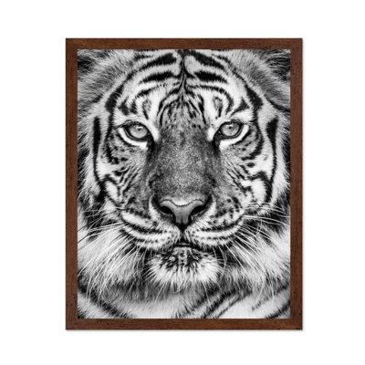 Tiger No2