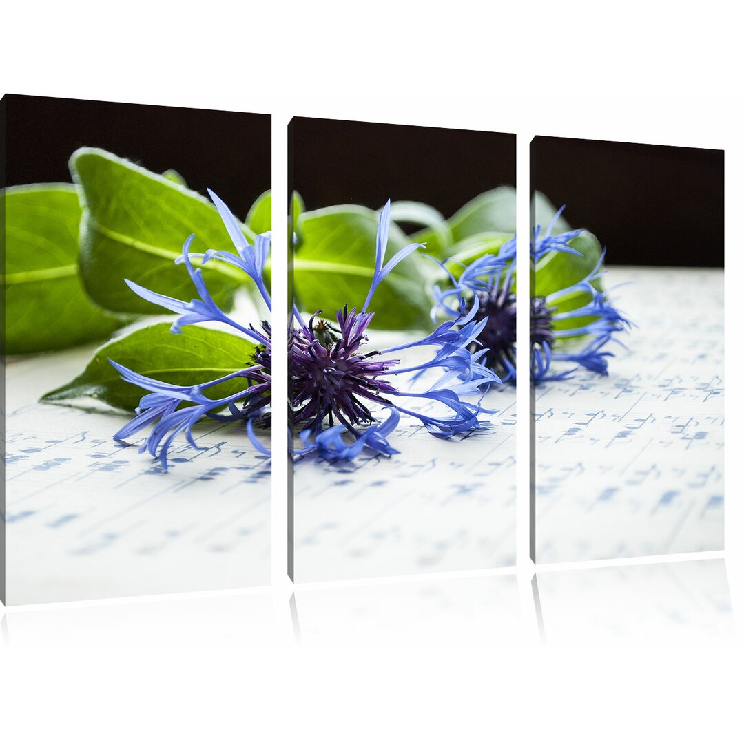 3-tlg. Leinwandbilder-Set Handgeschriebenes Notenblatt mit blauer Kornblume, Fotodruck