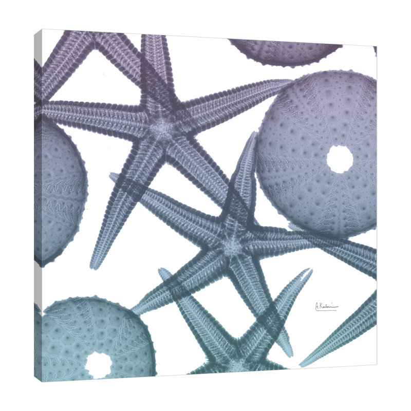 Lavendar Dipped Starfish 1 - Wrapped Canvas Print, 30 cm H x 30 cm W