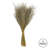 0.125'' Grass