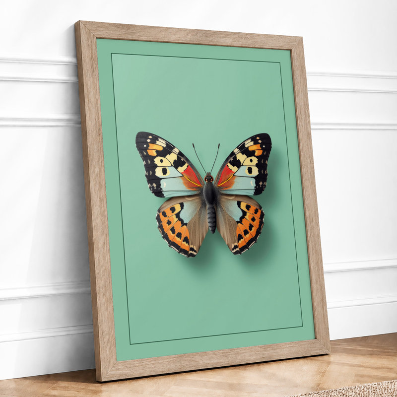 Specimen Butterfly Minimalist - Framed Print, A3 - 42.0 x 29.7 cm, Oak