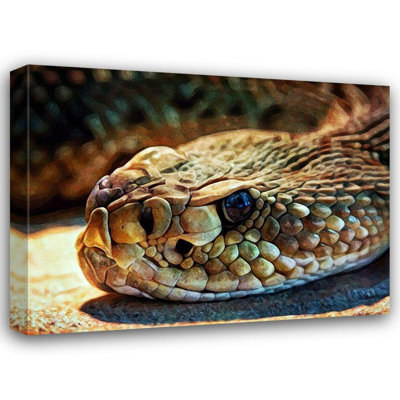 Latitude Run® Aldridge, Ashley Gallery Wrapped Canvas Art Titled: Diamondback Rattlesnake Stare