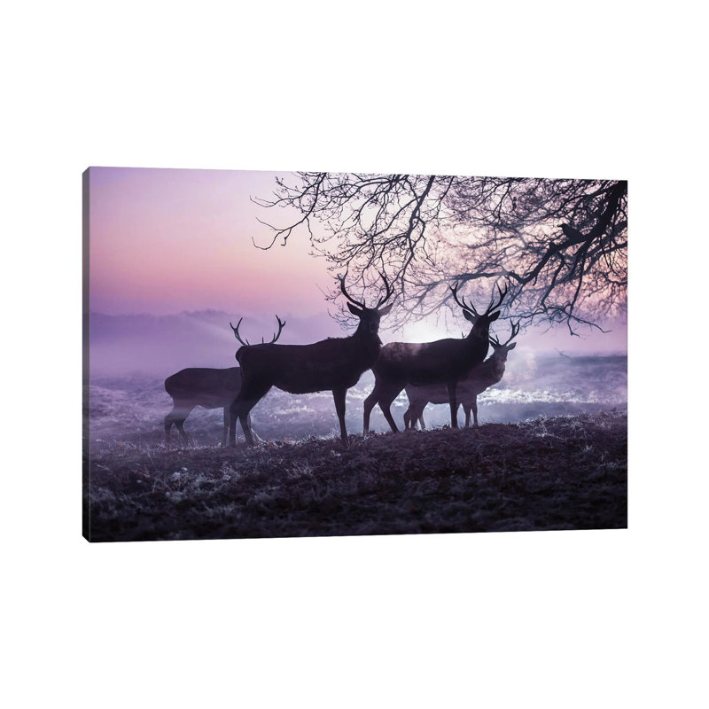 Mystic Mists 1 Piece Wrapped Canvas Painting, 30.48 cm H x 45.72 cm W