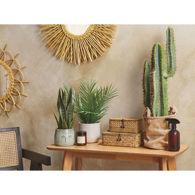 78cm Faux Cactus Plant in Pot