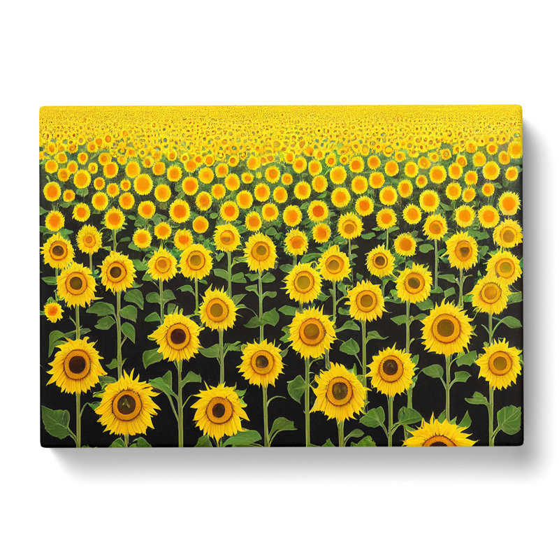 Ideal Sunflower Field - Wrapped Canvas, 40cm H x 60cm W x 3cm D