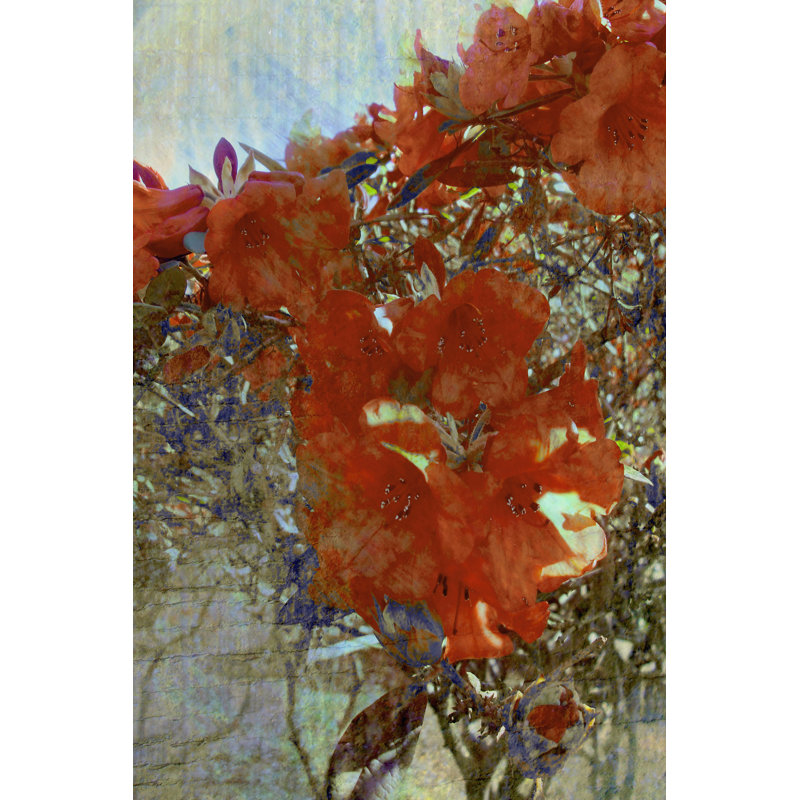Tangled I by Danielle Harrington - Wrapped Canvas Print, 30cm H x 20cm W