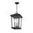 Bourke 3 - Light Outdoor Hanging Lantern-1123965487